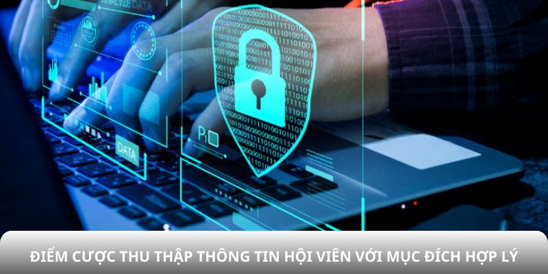 Chính sách bảo mật - Điểm cược thu thập thông tin hội viên với mục đích hợp lý