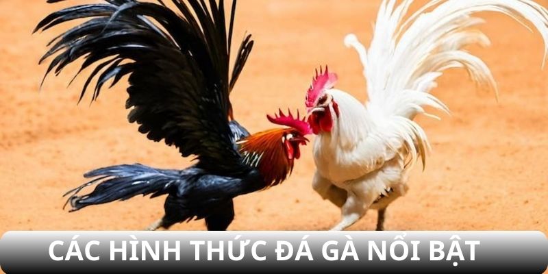 Các trận đấu hấp dẫn tại CM88