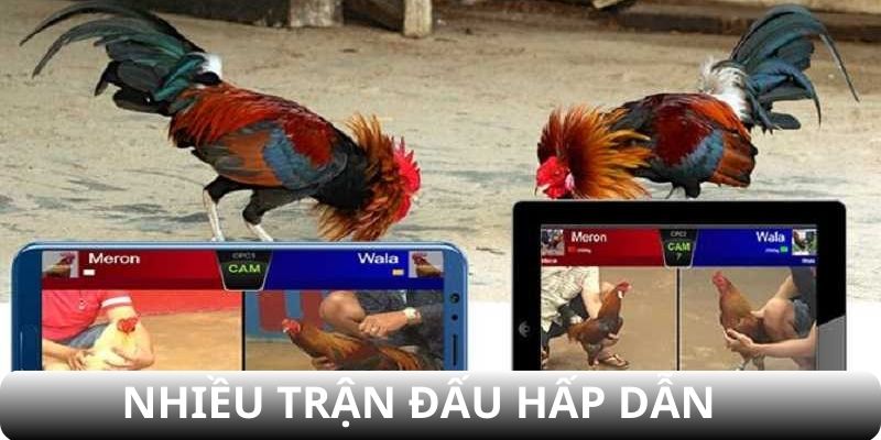 Sân chơi mang đến đa dạng trận đấu