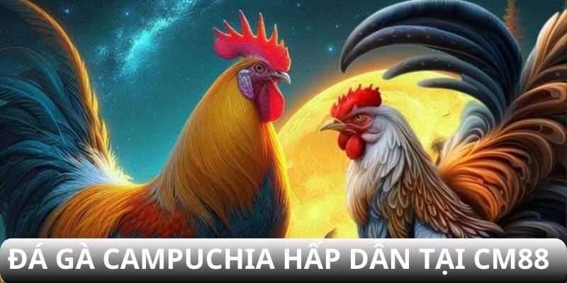đá gà campuchia