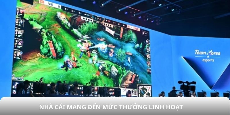 Nhà cái mang đến mức thưởng linh hoạt