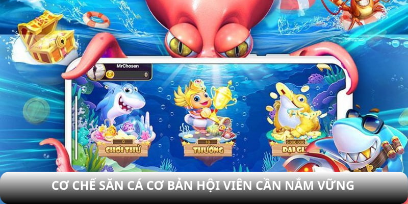 Cơ chế săn cá cơ bản hội viên cần nắm vững