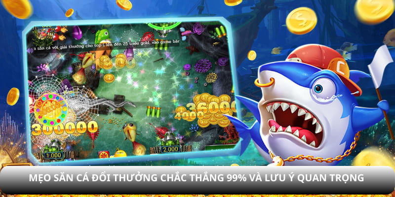 mẹo săn cá đổi thưởng