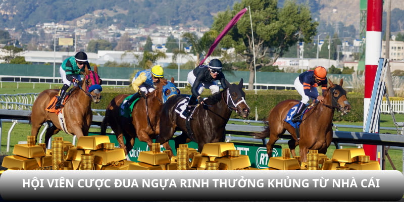 Hội viên cược đua ngựa rinh thưởng khủng từ nhà cái