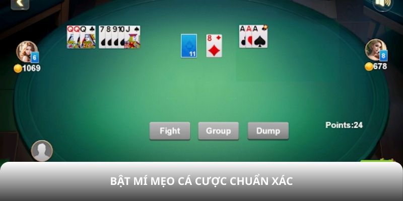 Bật mí mẹo cá cược chuẩn xác
